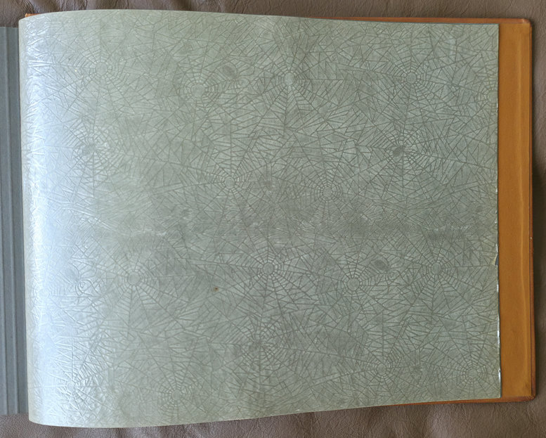 Close detail of the album page material